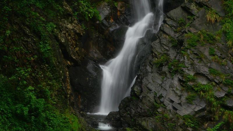 雷竞技比分